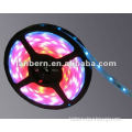 2012 12v 24 volt LED light strip 3528smd multi-color 30led/60led/90led/120led non-waterproof/waterproof Flexible LED Strip